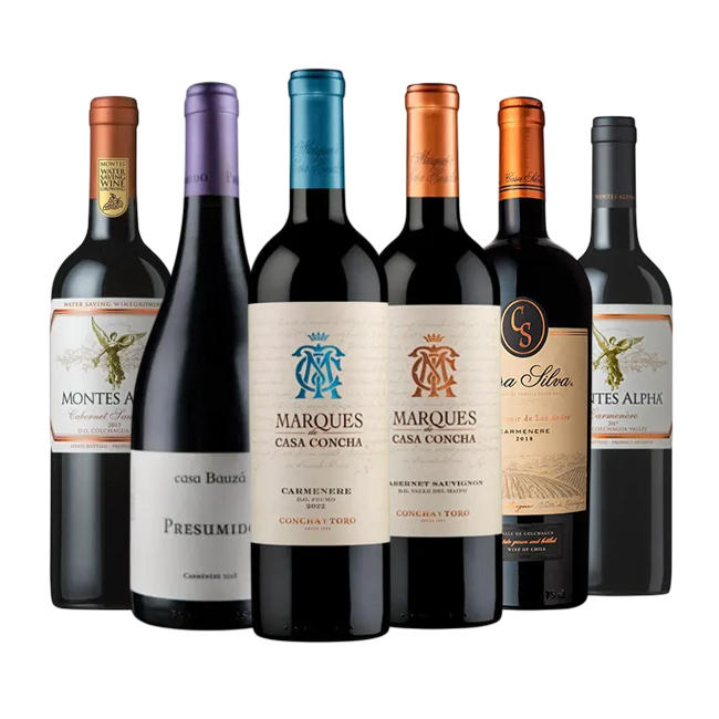 Caja de Vinos Mixta (6 Unidades)