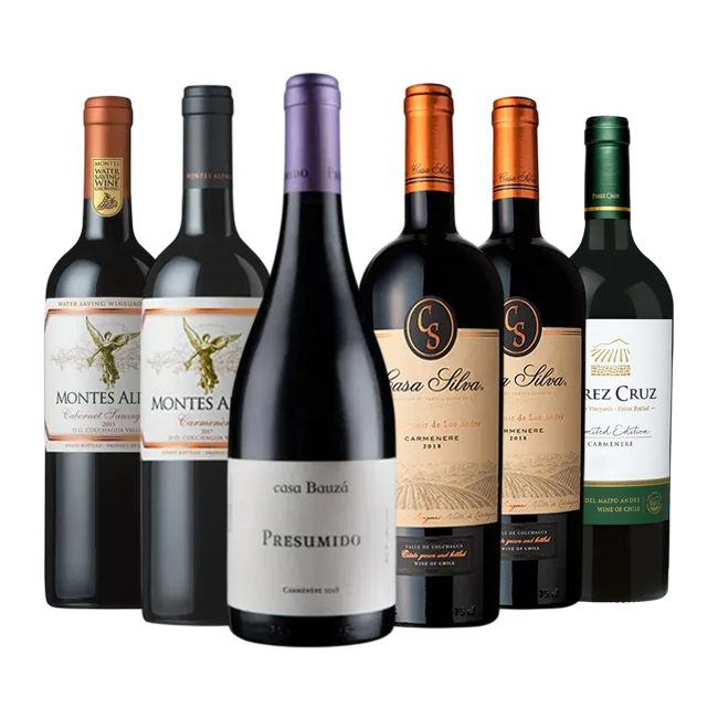 Caja de Vinos Carmenere Lover – 6 Vinos Premium