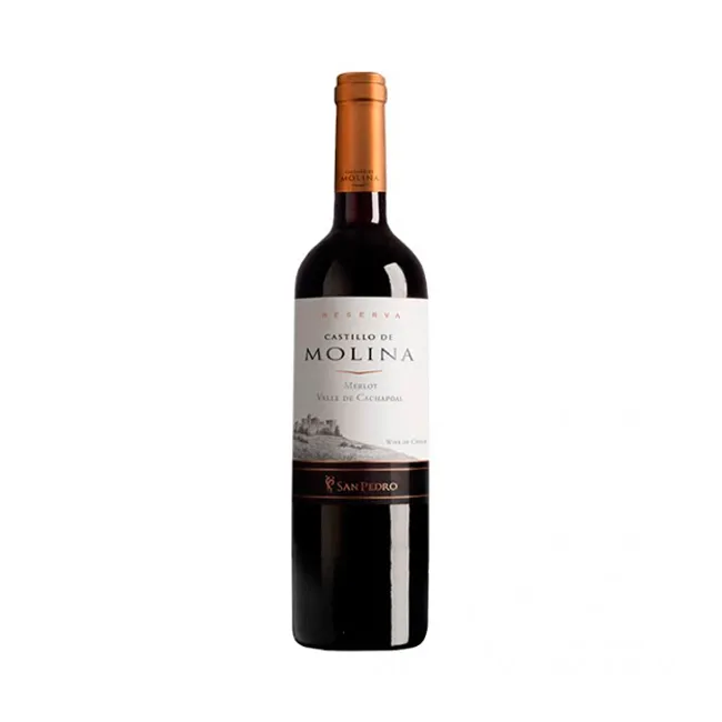 Vino Castillo de Molina Merlot 750cc